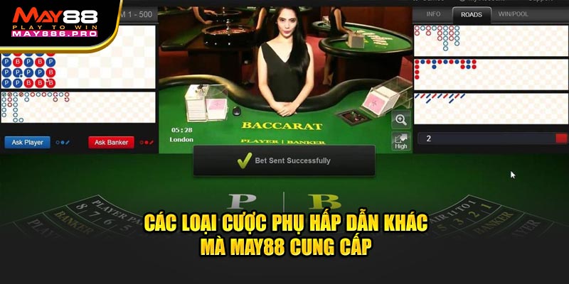 cac-loai-cuoc-phu-hap-dan-khac-ma-baccarat-truc-tuyen-cung-cap