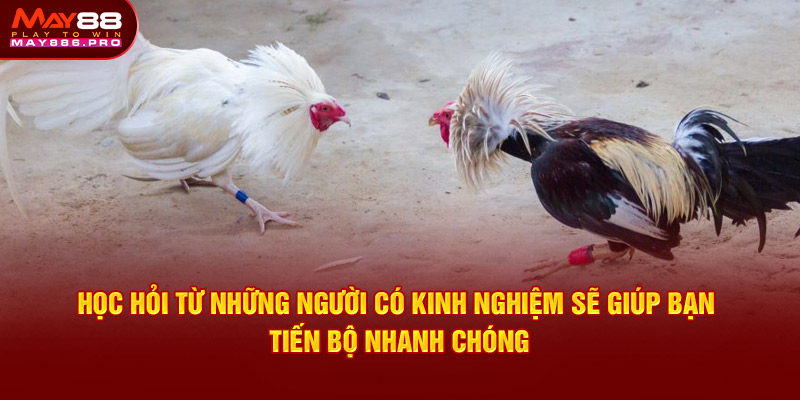 hoc-hoi-tu-nhung-nguoi-co-kinh-nghiem-da-ga-cua-sat